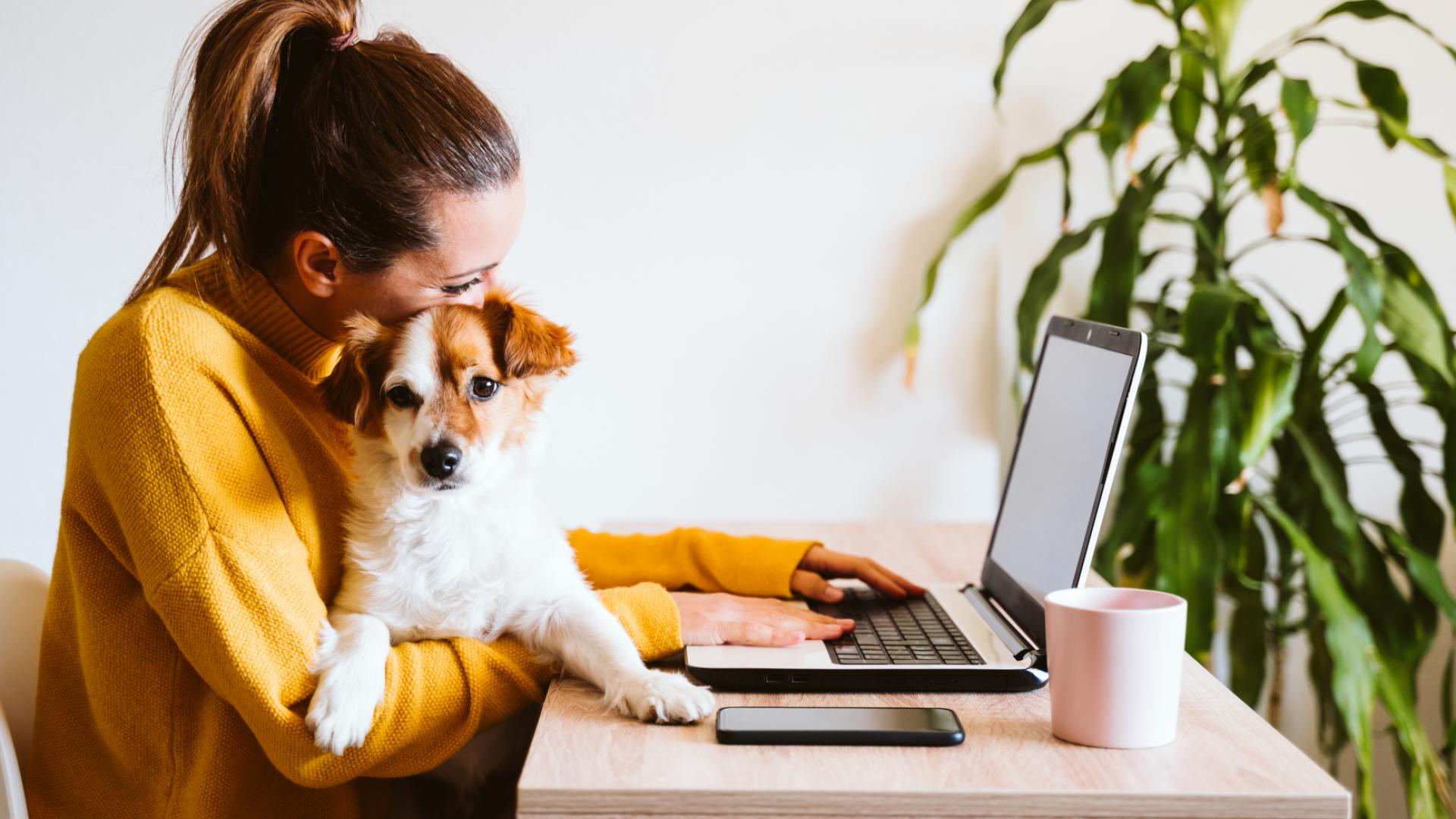 Eine junge Frau sitzt im Home-Office am Schreibtisch und tippt ihren Lebenslauf an einem Laptop. Sie hat einen kleinen, süßen braun-weißen Welpen auf dem Schoß.